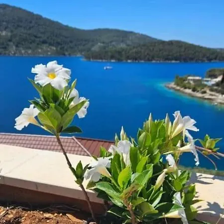 Belveder Vela Luka
